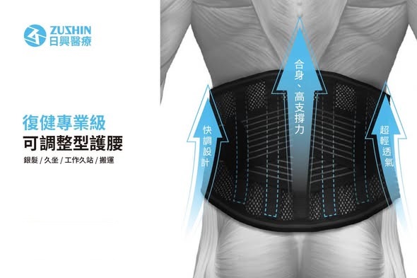 日興 ZS-501復健專業級護腰 3 日興 ZS-501復健專業級護腰:圖片 3