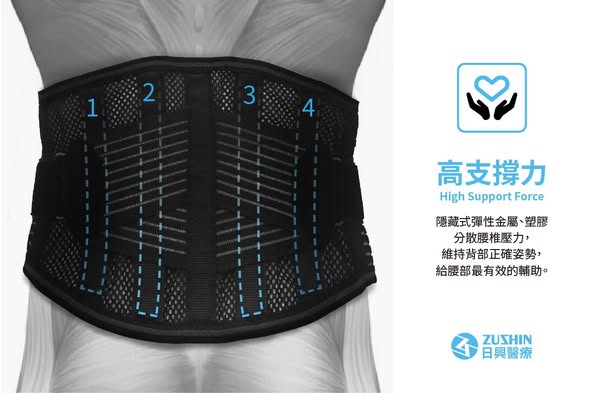 日興 ZS-501復健專業級護腰 2 日興 ZS-501復健專業級護腰:圖片 2